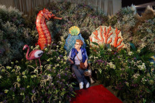 World Flower Show