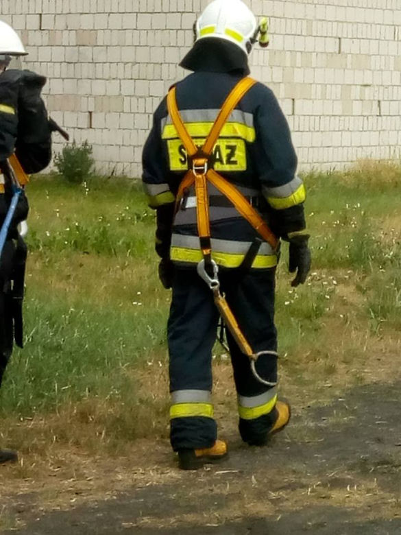Bocian wypadł z gniazda. Pomogli strażacy