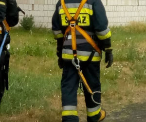 Bocian wypadł z gniazda. Pomogli strażacy