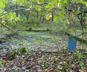 Opuszczony basen LIGA w Chorzowie. Perełka PRL-u jest dzisiaj ruiną [ZDJĘCIA, WIDEO]