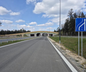 Obwodnica Wąchocka (kwiecień 2026)