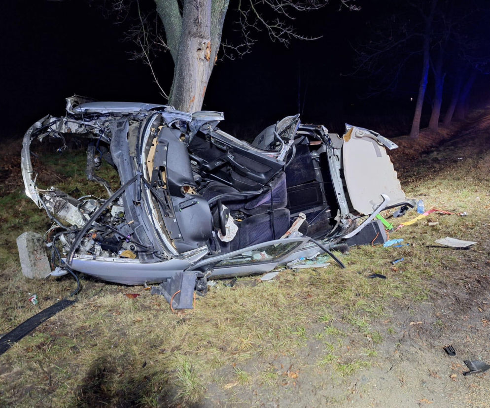 Śmiertelny wypadek na DK 94 pod Legnicą. 22-latek rozbił się oplem na drzewie [ZDJĘCIE]