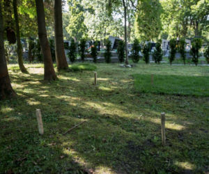 Ewa Demarczyk: Spocznie obok Grechuty