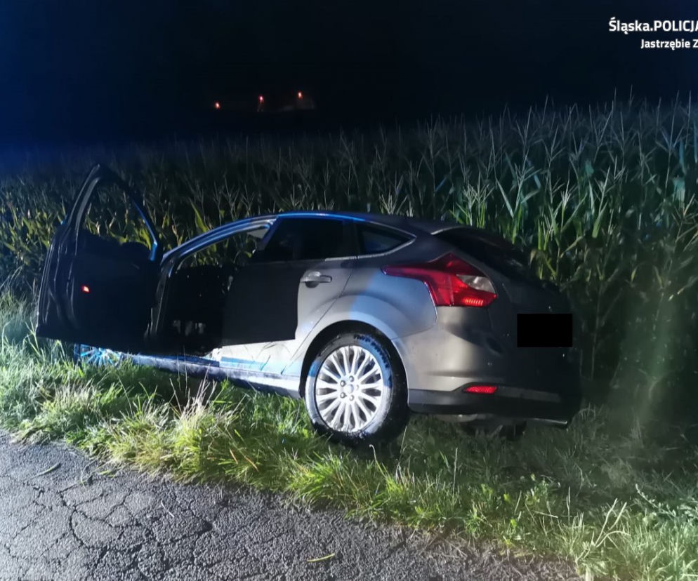 Wypadek w Jastrzębiu-Zdroju. Pijany wypadł samochodem z drogi. Auto samo powiadomiło służby