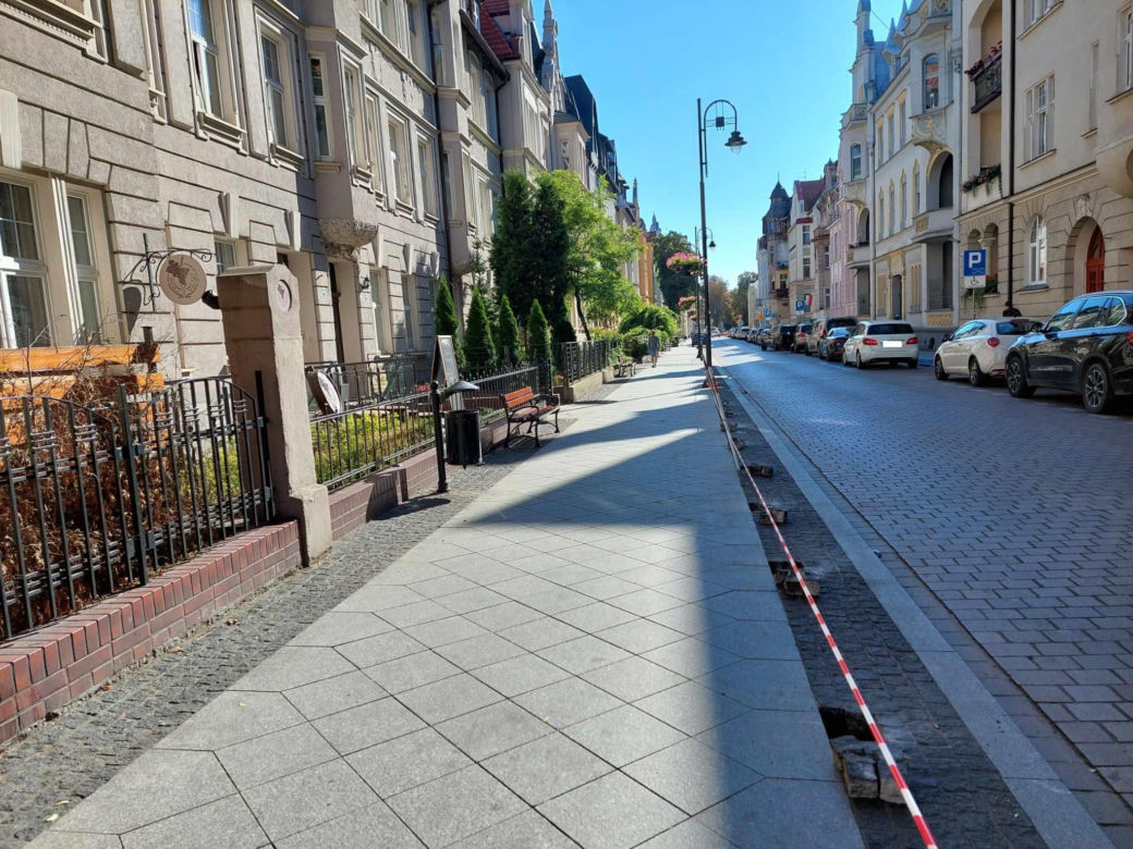 Bydgoszczanie marzą o roślinach wzdłuż ulicy, a drogowcy chcieli tam słupków. Jest reakcja na protest