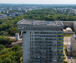 Młotek przy ul. Smolnej 8 w Warszawie