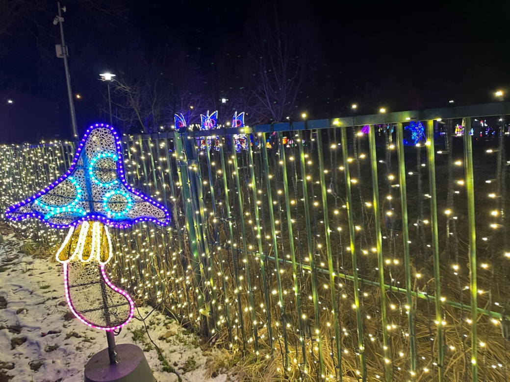 Garden of Lights w Szczecinie