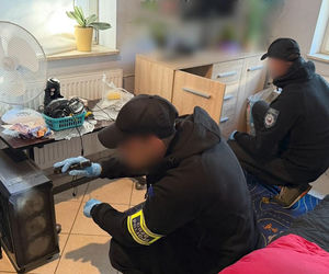 Zatrzymania w sprawie fałszywych alarmów bombowych. Wśród podejrzanych 21-latek z Białegostoku