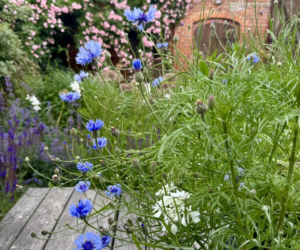 Remont domu z lat 30. i wiejski ogród