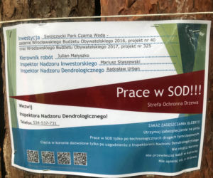 Wrocław jako pierwszy wprowadza karty ze standardami ochrony drzew przy inwestycjach