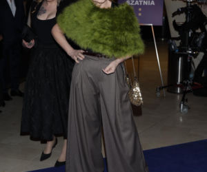 Wielkie sławy na gali Nagrody Mariusza Waltera