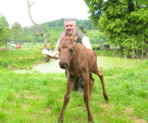 LEŚNICY OCALILI ŁOSZAKA