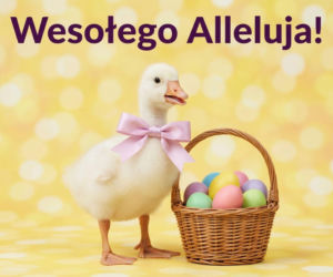 Nowoczesne gify wielkanocne 2026. Minimalistyczne i stylowe animacje na święta