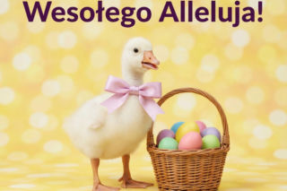 Nowoczesne gify wielkanocne 2026. Minimalistyczne i stylowe animacje na święta