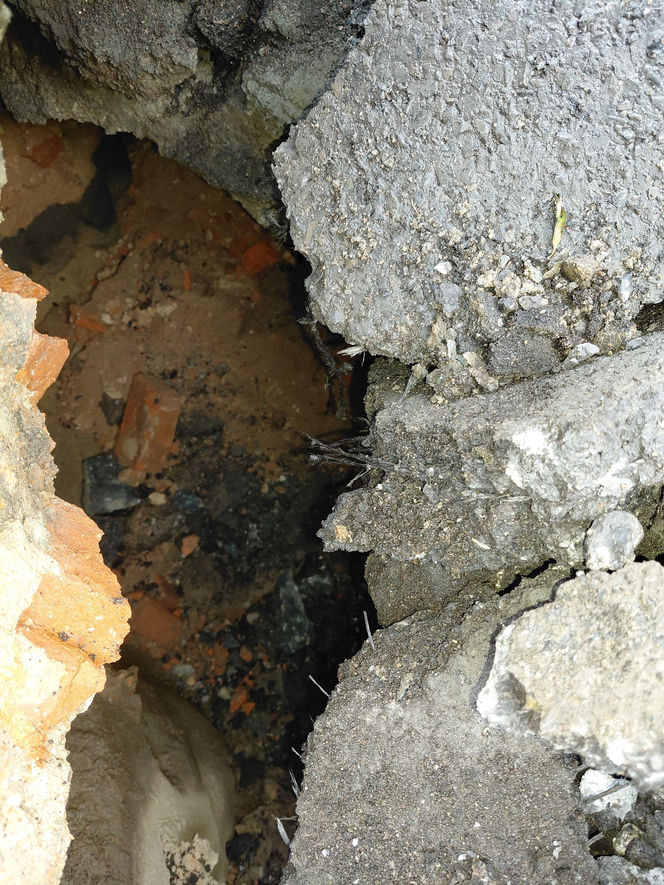 Historyczne odkrycie podczas naprawy wodociągu