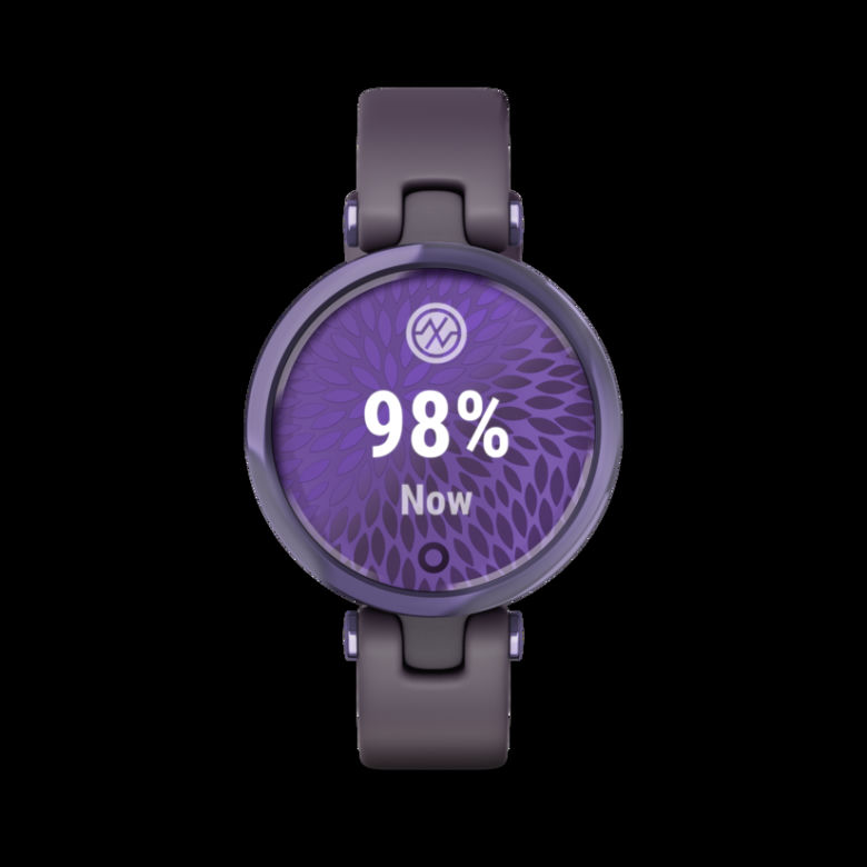 Garmin Lily