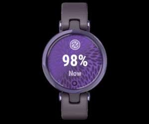 Garmin Lily