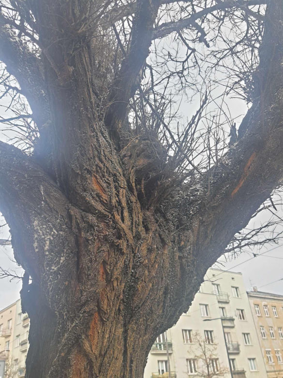 Ulica Stalowa. Po uprzątnięciu śniegu nadal widać jego resztki.