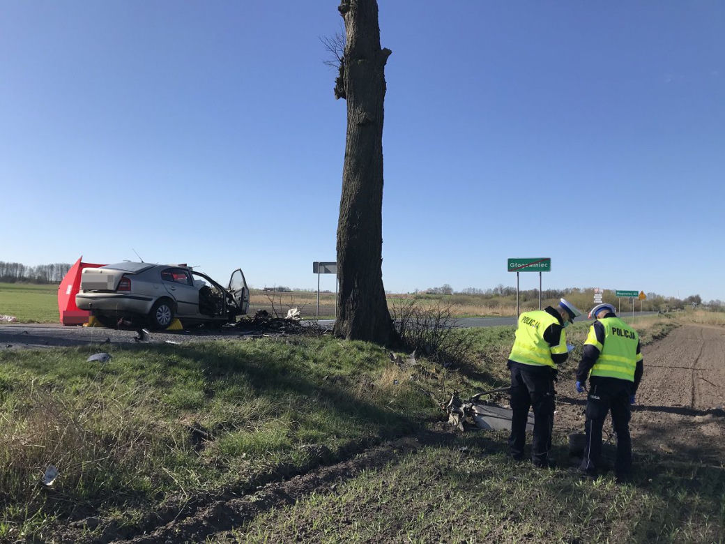 Skoda Octavia uderzyła w drzewo na prostej drodze