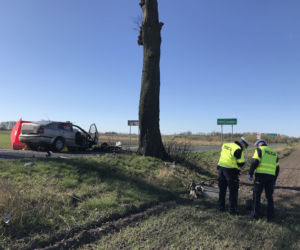 Skoda Octavia uderzyła w drzewo na prostej drodze