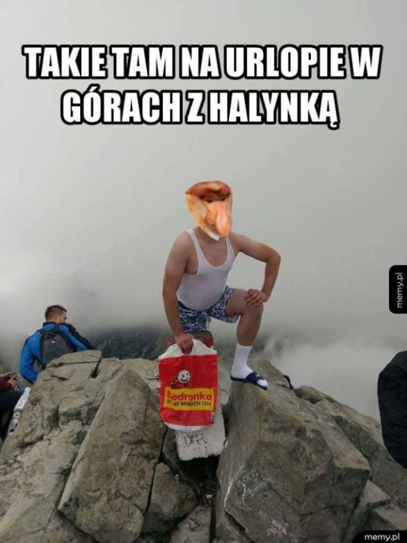 Urlop: memy