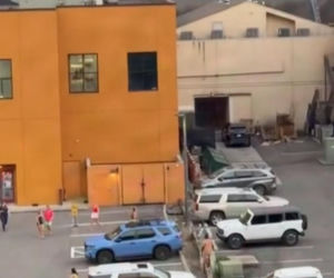 Niedźwiedź wbiegł na parking pełen ludzi! Zobacz, co stało się potem