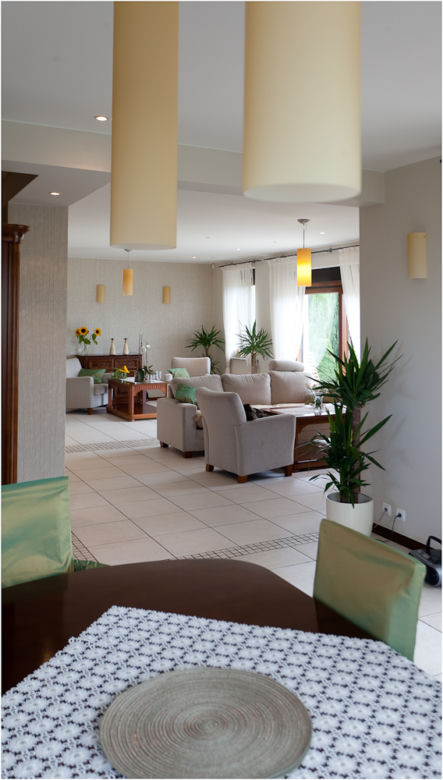 DOM-WIERUSZOW-salon-023.jpg