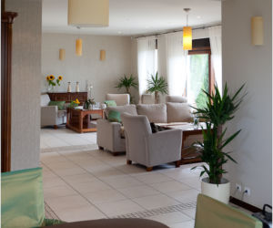 DOM-WIERUSZOW-salon-023.jpg