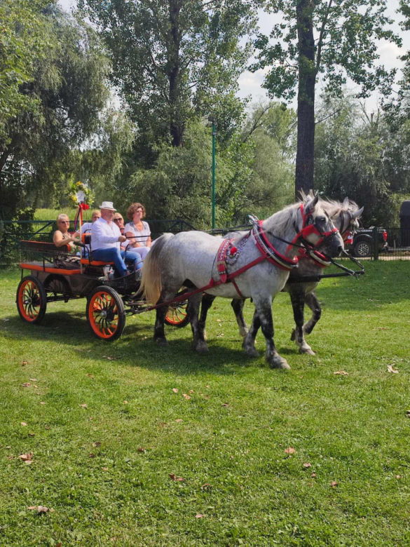 III Parada Karet w Krzyżanowicach Dolnych