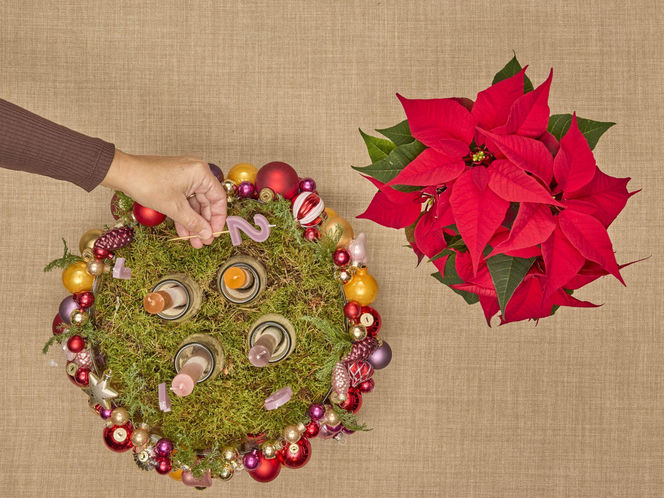 Adwentowa aranżacja z gwiazdą betlejemską