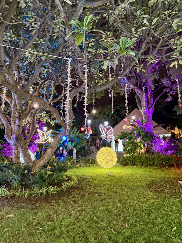 Park miejskie w Funchal udekorowany na święta