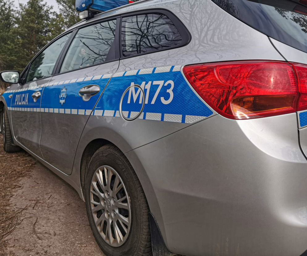Lubelskie. 18-latek uciekał przez park z pieskiem na rękach