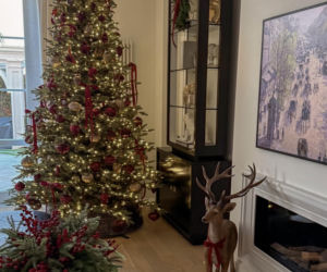 Gwiazdy wystroiły wille na święta! Przetakiewicz, Kurzopki i Rozenek wydali grube tysiące!