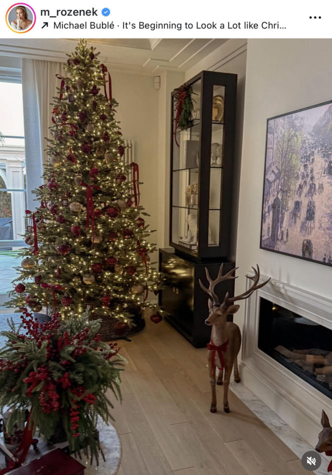 Gwiazdy wystroiły wille na święta! Przetakiewicz, Kurzopki i Rozenek wydali grube tysiące!