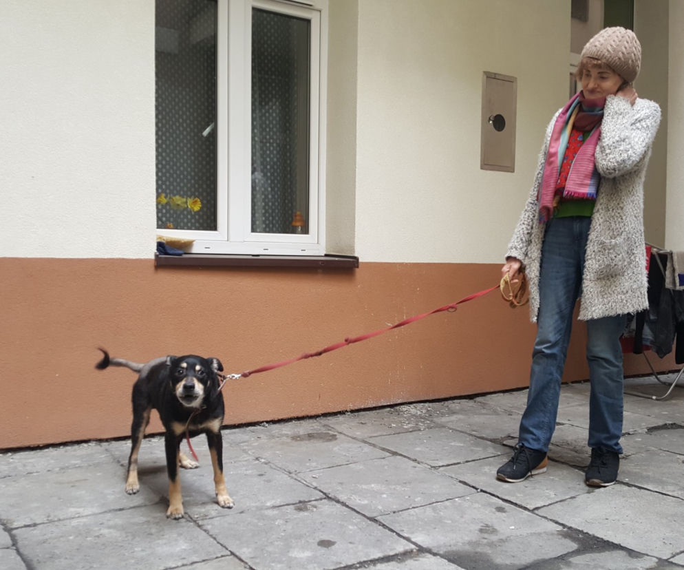 Pani Elżbieta i Kuba