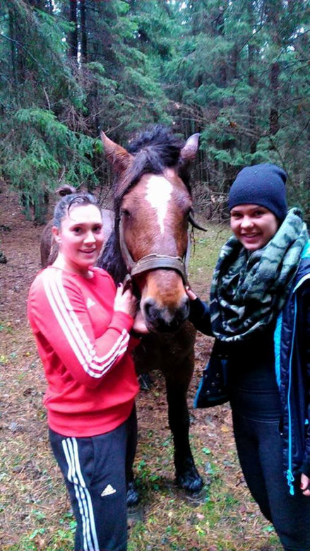 BOKSERKI WYRWAŁY KONIE Z BAGNA