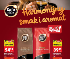 Biedronka - gazetka promocyjna 9.03.2026