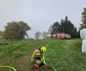 Cztery urocze szczeniaki uratowane z pogorzeliska. Nieprawdopodobne, gdzie ukryły się podczas pożaru