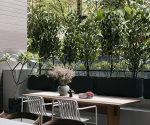 Nowoczesny apartament z patio - projekt Pupil Office