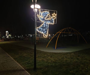 Tarnów. Świąteczna iluminacja już rozbłysła. Tak wygląda choinka na pl. Kazimierza