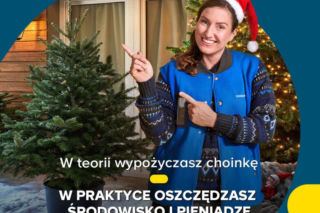 Wypożycz choinkę w Castoramie. Świąteczna akcja ruszyła! 
