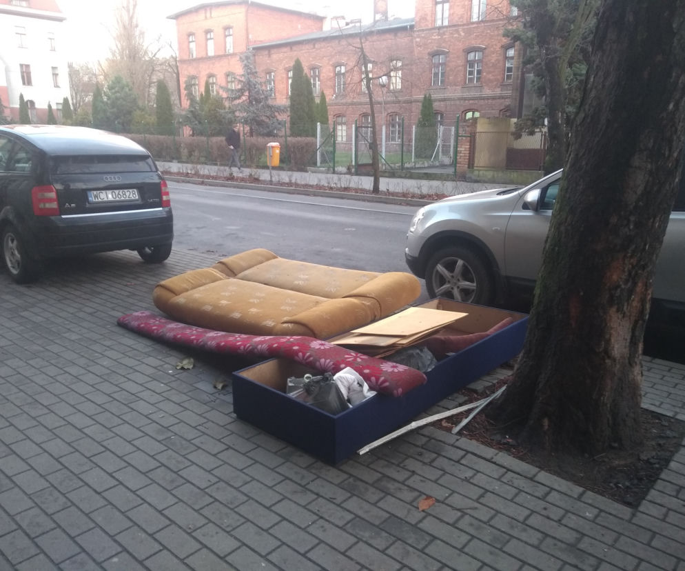 Wielkie śmiecenie na Bydgoskim