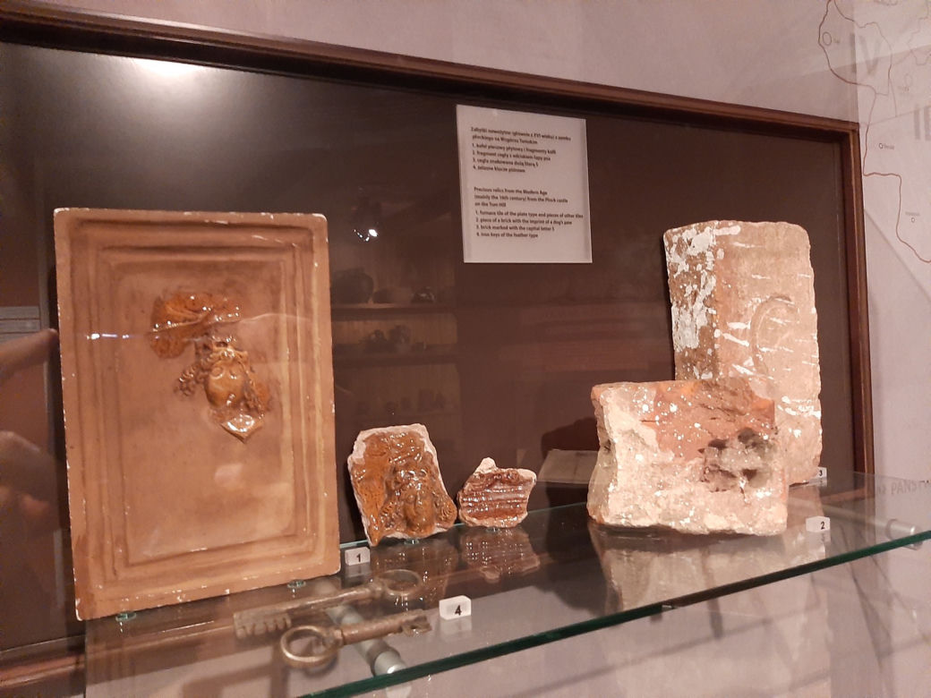 Płock. Odcisk łapy sprzed ok. 500 lat! Do jakiego zwierzęcia należał? [ZDJĘCIA]