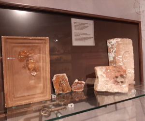 Płock. Odcisk łapy sprzed ok. 500 lat! Do jakiego zwierzęcia należał? [ZDJĘCIA]