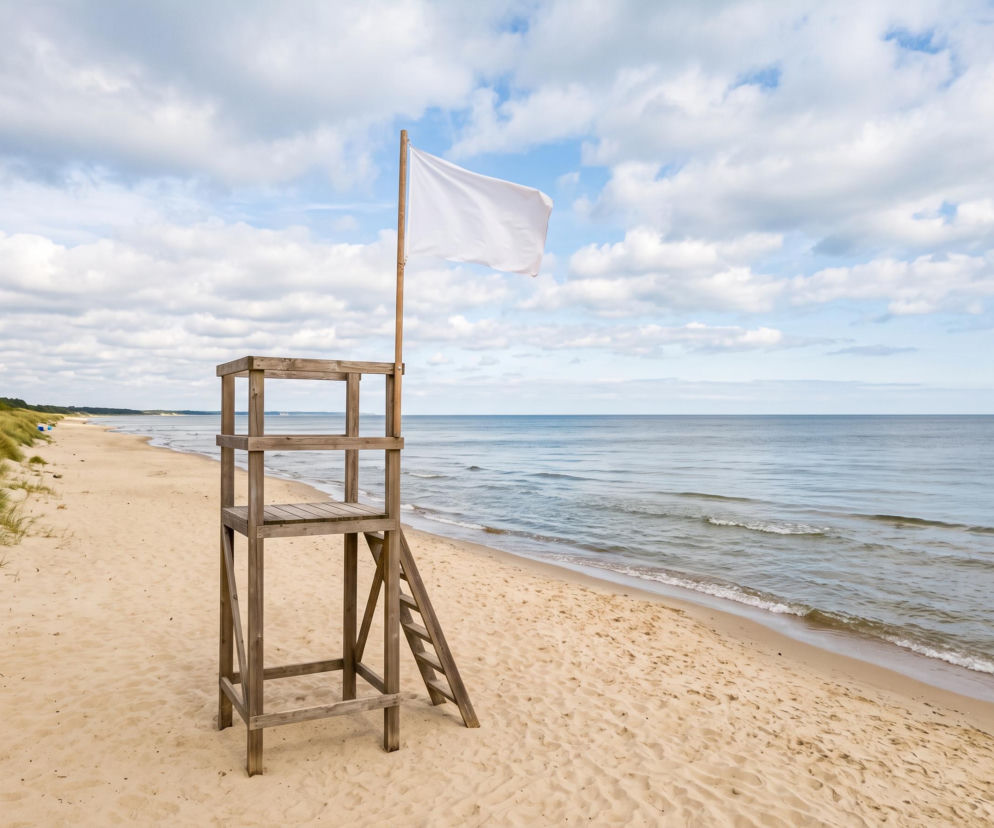 Sinice Gdynia. Czy w Gdyni można się kąpać 12.08? Flaga, warunki pogodowe