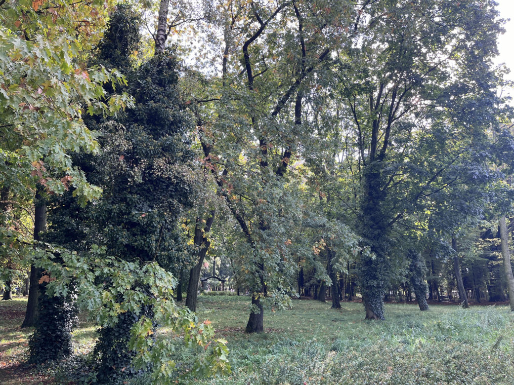 Park Kopernika w Gorzowie w jesiennej scenerii