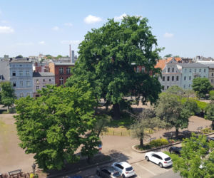 Trwa remont i budowa nowej siedziby Miejskiej Biblioteki Publicznej w Lesznie