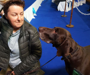 ​Psia elita w Lesznie. W hali Trapez odbyła się XXIV wystawa Champion of Champion's Show