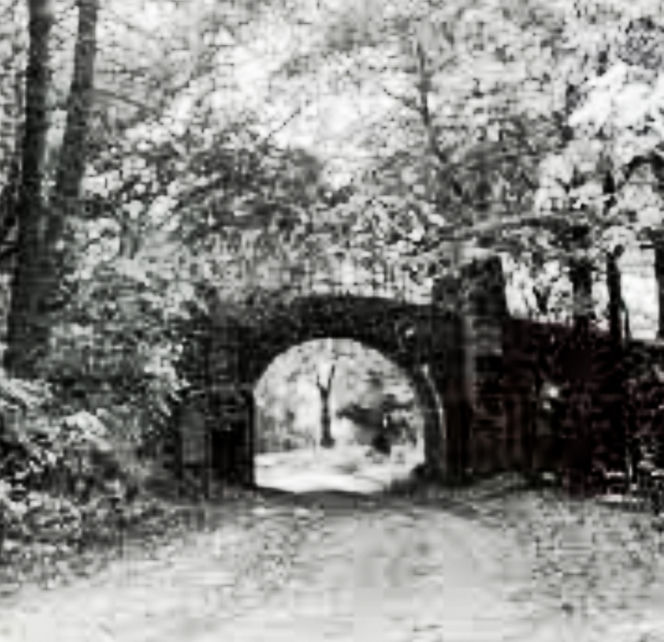 Rzeźba warta fortunę znaleziona w domu celebrytki? Nowe ustalenia po ćwierć wieku