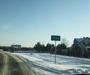 Wataha psów terroryzuje wieś. „Nie zaatakowały z głodu. To była napaść, by zabić”